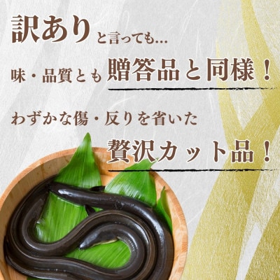 【訳あり】静岡県産 うなぎ蒲焼 カット 100g×5パック 計500g (タレ・山椒付き) 国産