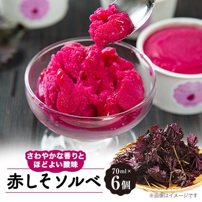 赤しそソルベ　70ml×6個入り