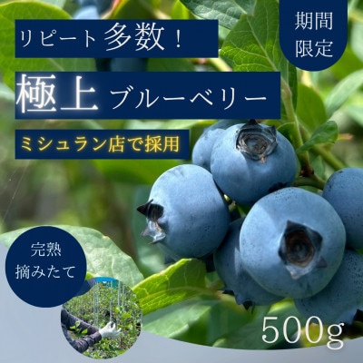 【極上】完熟 生ブルーベリー500g
