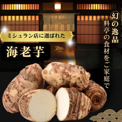 【ミシュラン店が採用】極み海老芋(えびいも)　2kg(孫芋)