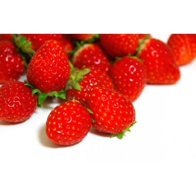 イチゴ(紅ほっぺ)・冷凍 1kg