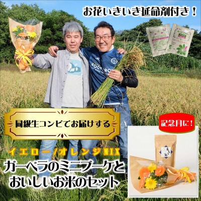 6月発送!同級生コンビでお届けするガーベラMIXブーケとおいしいお米のセット・お花長持ち栄養剤付き!