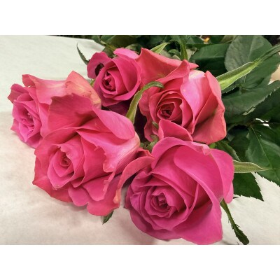 3月発送!同級生コンビでお届けするピンクバラのブーケとおいしいお米(精米)のセット・栄養剤付き!