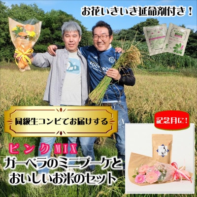 5月発送!同級生コンビでお届けするガーベラピンクブーケとおいしいお米のセット・お花長持ち栄養剤付き!