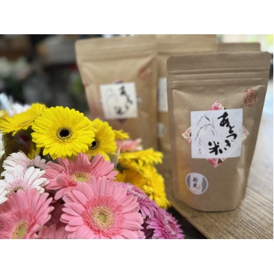 6月発送!同級生コンビでお届けするガーベラピンクブーケとおいしいお米のセット・お花長持ち栄養剤付き!