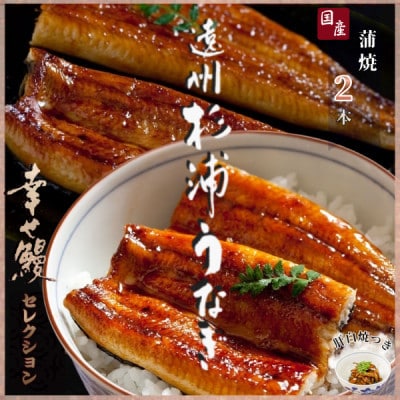 【1本230g以上】遠州杉浦うなぎ 蒲焼セット　蒲焼2本(460g-500g)+肝白焼+タレ | ふるさと納税のお礼品