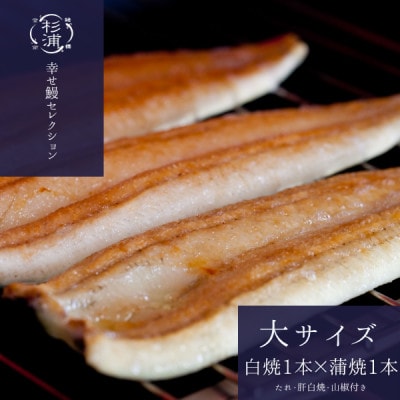 【1本230g以上】遠州杉浦うなぎ 白蒲セット 白焼1本+蒲焼1本(460g-500g)肝白焼+タレ