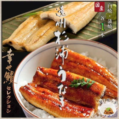 【1本210g以上】遠州杉浦うなぎ 白蒲セット 白焼1本+蒲焼1本(440g-490g)肝白焼+タレ