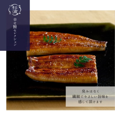 【1本230g以上】遠州杉浦うなぎ 白蒲セット 白焼1本+蒲焼1本(460g-500g)肝白焼+タレ