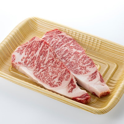 【食通の静岡牛】 サーロインステーキ　250g×2枚 ブランド牛
