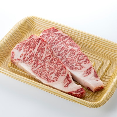 【食通の静岡牛】 サーロインステーキ　250g×2枚 和牛 ブランド牛