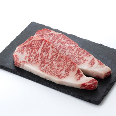 【食通の静岡牛】  サーロインステーキ　250g×2枚×2P 和牛 ブランド牛