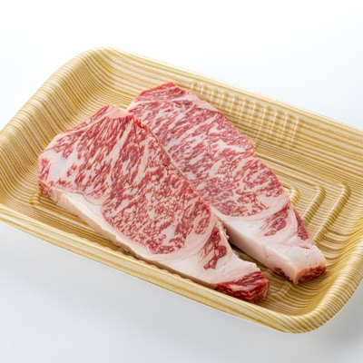 【食通の静岡牛】  サーロインステーキ　250g×2枚×2P 和牛 ブランド牛