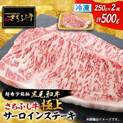 【さちふじ牛】極上サーロインステーキ250g×2枚セット　ブランド牛　和牛