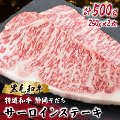 【特選和牛 静岡そだち】サーロインステーキ 250×2枚 ブランド牛 黒毛和牛