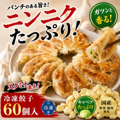 餃子のまるかわ 冷凍生餃子 餃子1500g