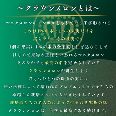 【組合直送】【黒箱】静岡が誇る温室高級マスクメロン「クラウンメロン」1玉(約1.3kg)9月～2月