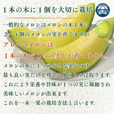【組合直送】アローマメロン2玉(1玉:約1.3kg)～静岡が誇る高級マスクメロン～　9月～2月