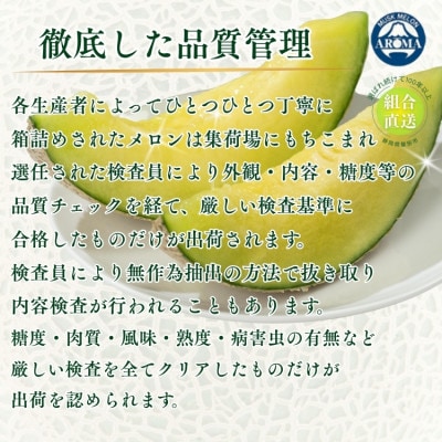 【組合直送】アローマメロン2玉(1玉:約1.3kg)～静岡が誇る高級マスクメロン～　9月～2月