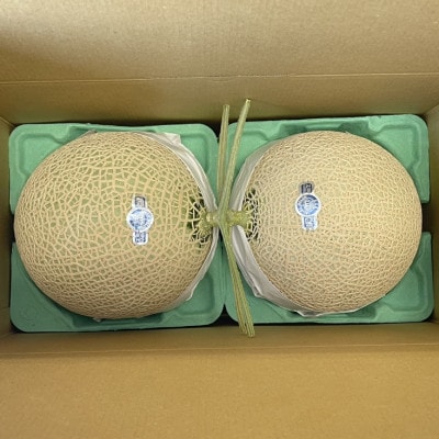 静岡県磐田市 クラウンメロン 山等級 約1.3kg×2個