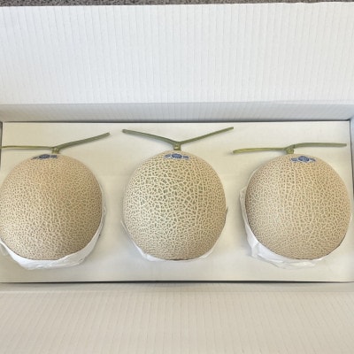静岡県磐田市 クラウンメロン 山等級 約1.3kg×3個