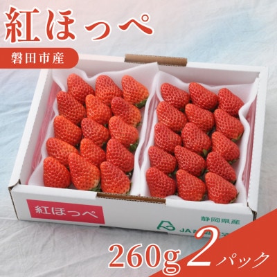 【2027年先行受付】静岡県磐田市 いちご 紅ほっぺ 約260g×2パック