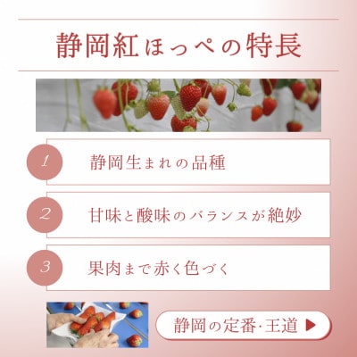 【2027年先行受付】静岡県磐田市 いちご 紅ほっぺ 約260g×4パック