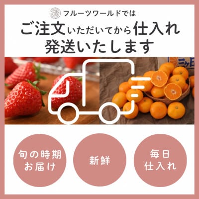 【2027年先行受付】静岡県磐田市 いちご 紅ほっぺ 約260g×4パック