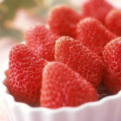 【発送月固定定期便】【2月、3月発送】 静岡県磐田市の定期便全2回