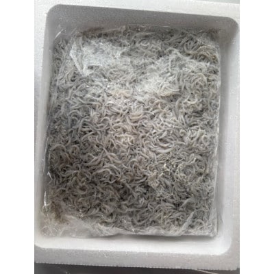 釜揚げしらす 1kg 化粧箱