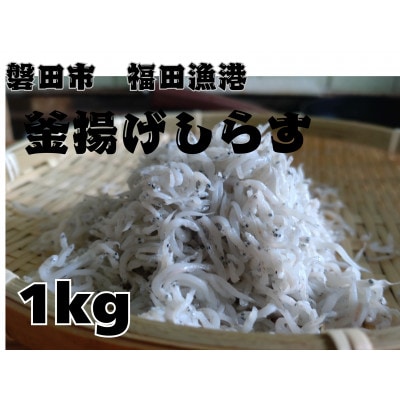 釜揚げしらす 1kg 化粧箱