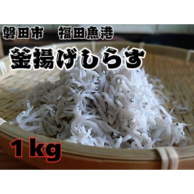 釜揚げしらす 1kg 化粧箱