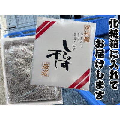 釜揚げしらす 1kg 化粧箱