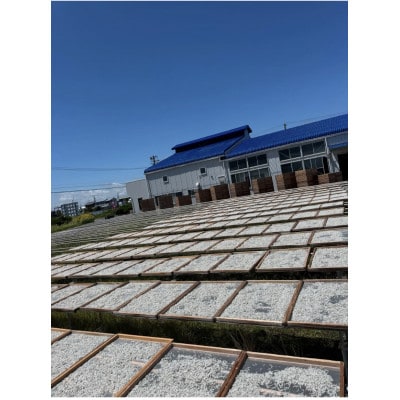 釜揚げしらす 1kg 化粧箱