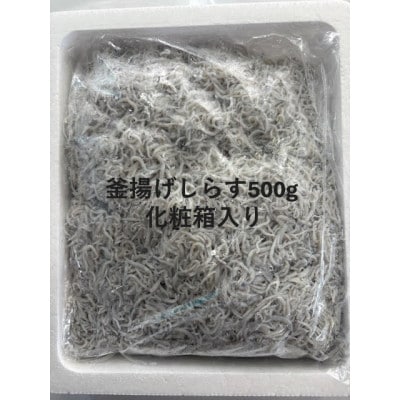 釜揚げしらす 500g 化粧箱入り