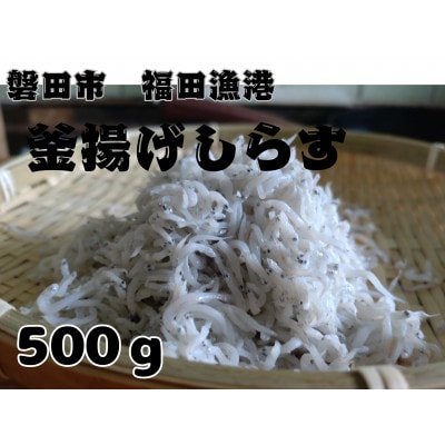 釜揚げしらす 500g 化粧箱入り