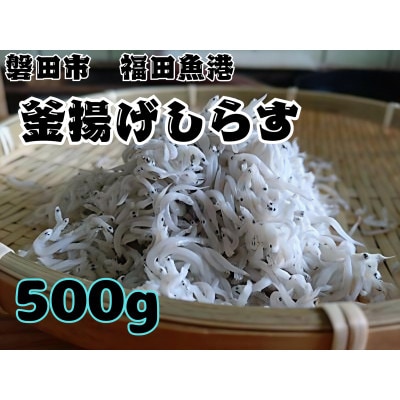 釜揚げしらす 500g 化粧箱入り