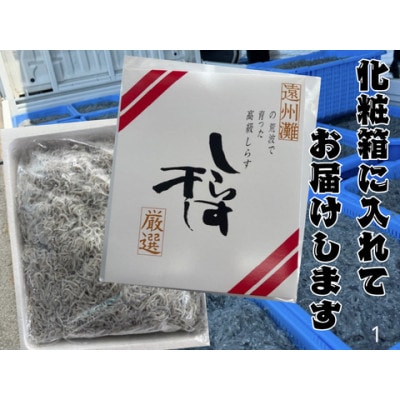 釜揚げしらす 500g 化粧箱入り