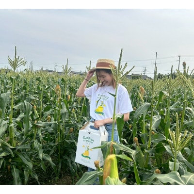 【2026年6月～7月順次発送】とうもろこし 約5kg 甘々娘(訳あり) 朝採り スイートコーン