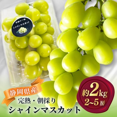 【2026年先行予約】シャインマスカット 2kg 2～5房 完熟 朝採り 静岡県産