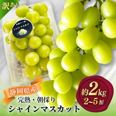 【2026年先行予約】 シャインマスカット 訳あり 約2kg 2房～5房 完熟 朝採り 静岡県産