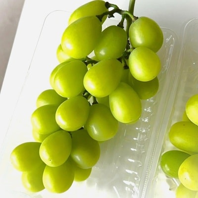 【2026年先行予約】 シャインマスカット 訳あり 約2kg 2房～5房 完熟 朝採り 静岡県産