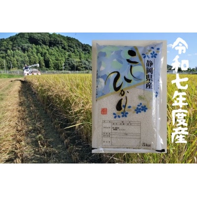 静岡こしひかり 精米 5kg