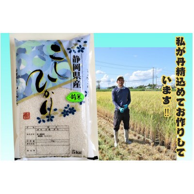 【さとふる限定】令和8年度産静岡こしひかり5kg　8月下旬より収穫予定～順次出荷します