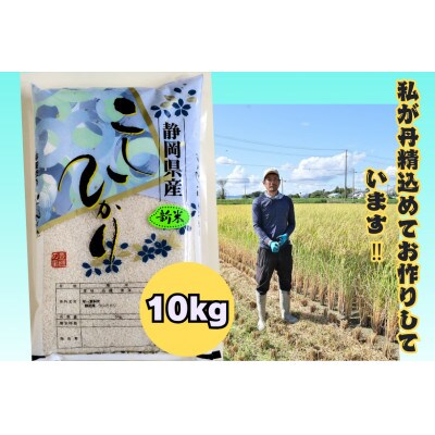 【さとふる限定】令和8年度産静岡こしひかり10kg　8月下旬収穫予定、順次出荷します