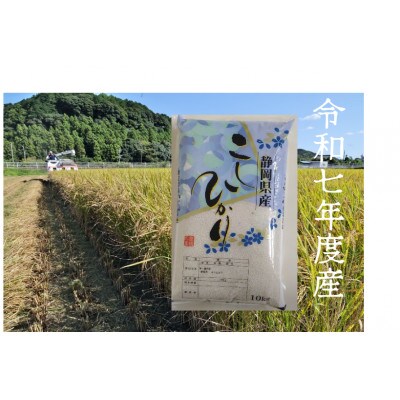 【毎月定期便】静岡こしひかり(精米)10kg×1袋全12回