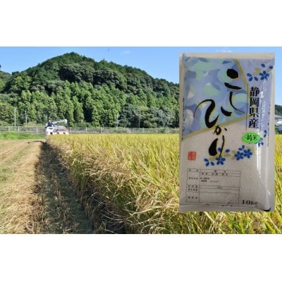 【毎月定期便】静岡こしひかり(精米)10kg×1袋全3回