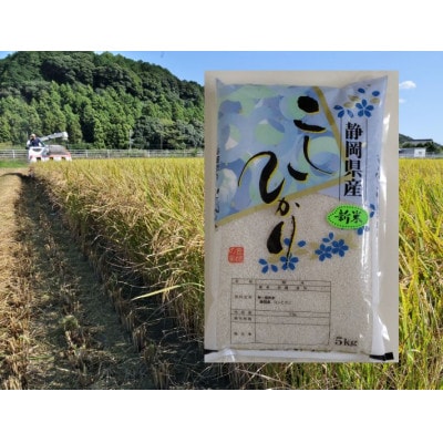 【毎月定期便】静岡こしひかり(精米)5kg×1袋全3回