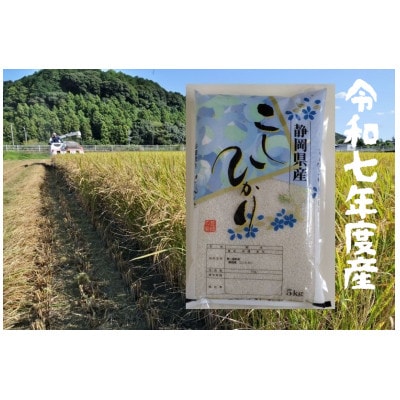 【毎月定期便】静岡こしひかり(精米)5kg×1袋全3回