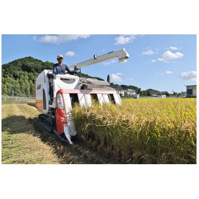 【毎月定期便】静岡こしひかり(精米)5kg×1袋全12回